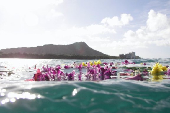 a group of people swimming in a body of water